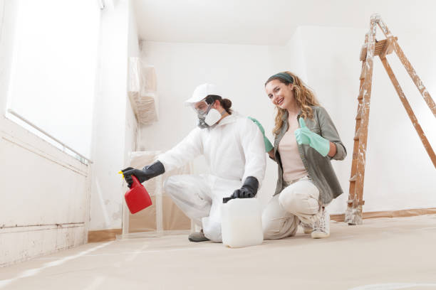 Best HVAC Mold Inspection and Cleaning  in St Louis Park, MN